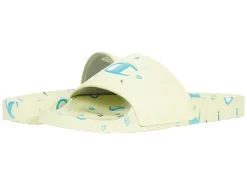 Champion Ipo Circular